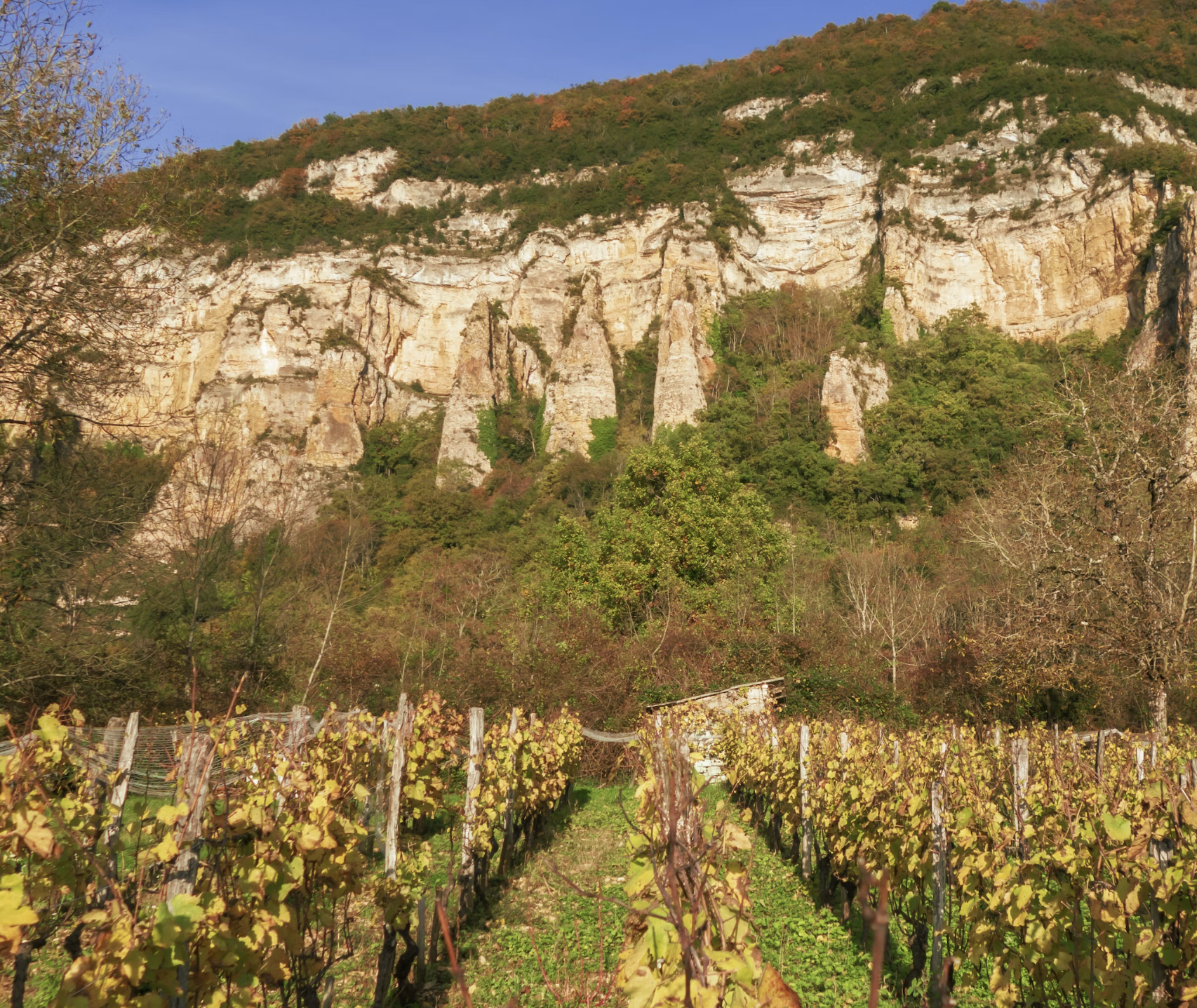 Eve Bushman spends a week touring and tasting in Chateauneuf du Pape