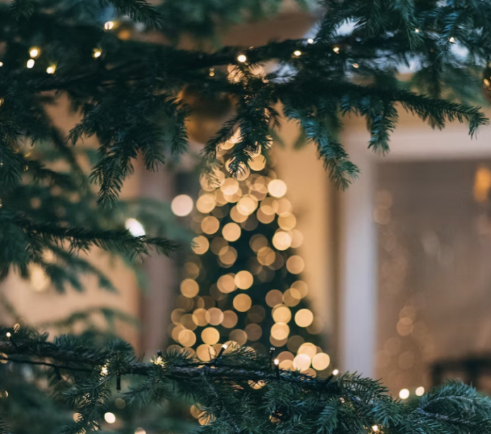 Pocono Holiday Tree Lighting at TLC Park on Dec 2