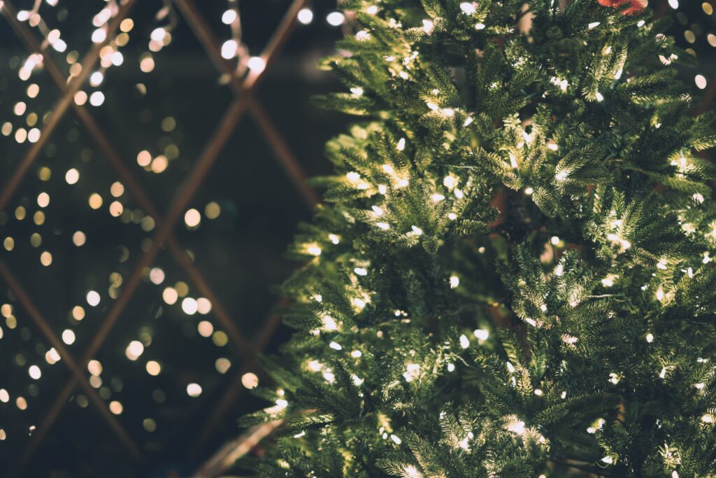 Slatington Kicks Off the Holiday Season with tree lighting
