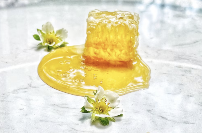 Lehigh Valley wants Family and Flavor -- Howell's Standard Hot Honey Delivers